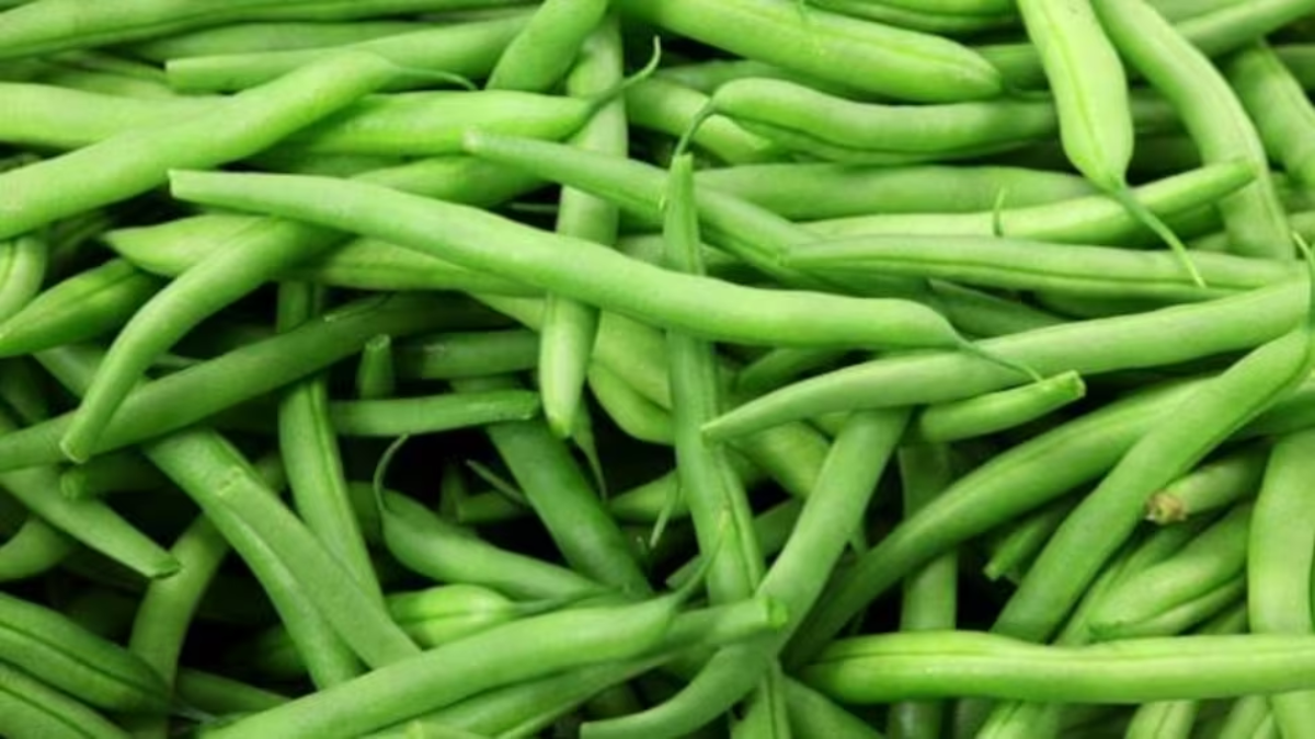 हिरव्या बीन्स मध्ये लोह भरपूर प्रमाणात असते. आहारात सोयाबीनचा समावेश केल्यास दररोज कॅल्शियम मिळु शकते. 