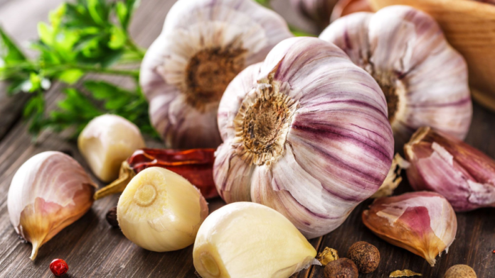 Garlic is beneficial for health in winter; Know the benefits of garlic